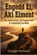 Engedd el, aki elment